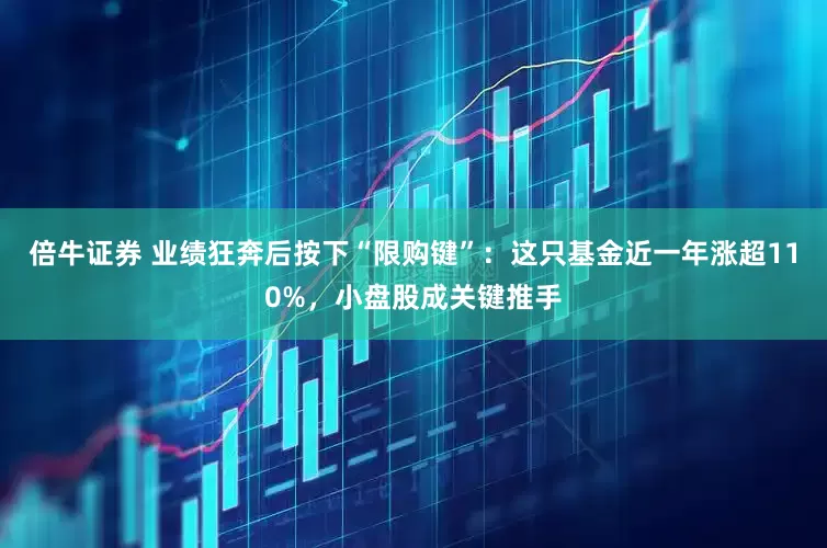 倍牛证券 业绩狂奔后按下“限购键”：这只基金近一年涨超110%，小盘股成关键推手