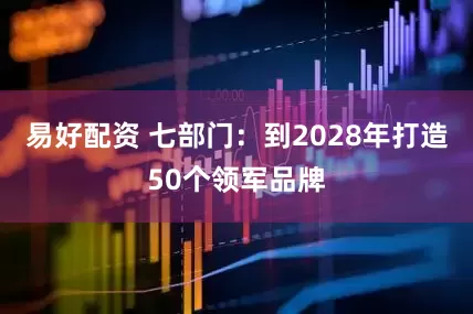 易好配资 七部门:到2028年打造50个领军品牌